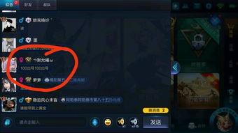 暗信皮肤爆料视频大全,揭秘神秘英雄的华丽蜕变  第3张