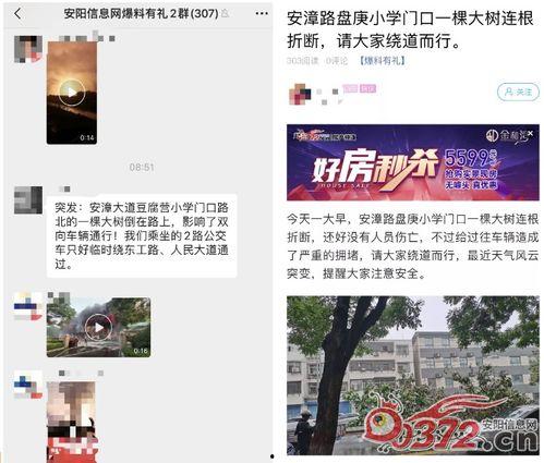 安阳最新爆料消息,揭秘神秘事件背后的惊人真相 第1张 安阳最新爆料消息,揭秘神秘事件背后的惊人真相 第1张